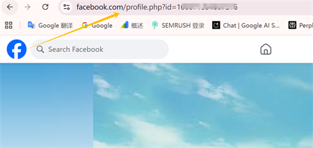 lien profil facebook